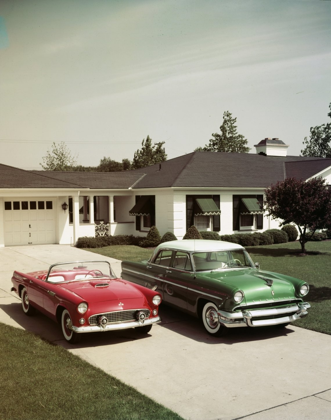 access-1955_ford_thunderbird_and_lincoln_neg_c600_1