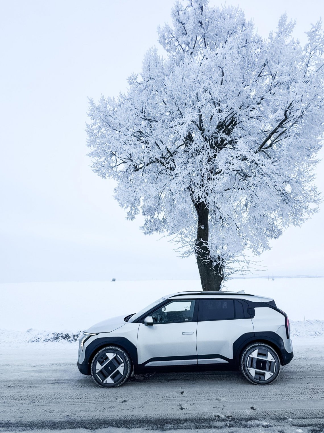 fot_Radek_sikorski_technokabel-3