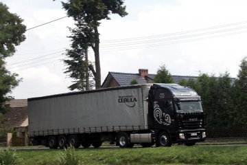 c_1
