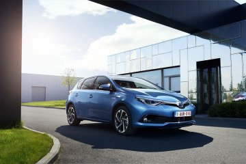 large_Auris_03