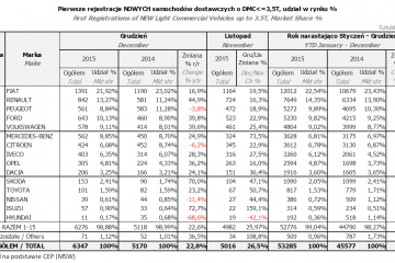 pzpm (4)