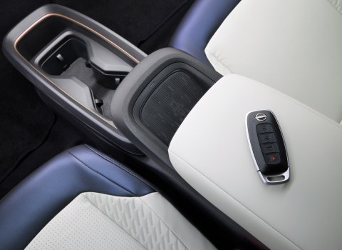 Nissan_Leaf_III_(4)