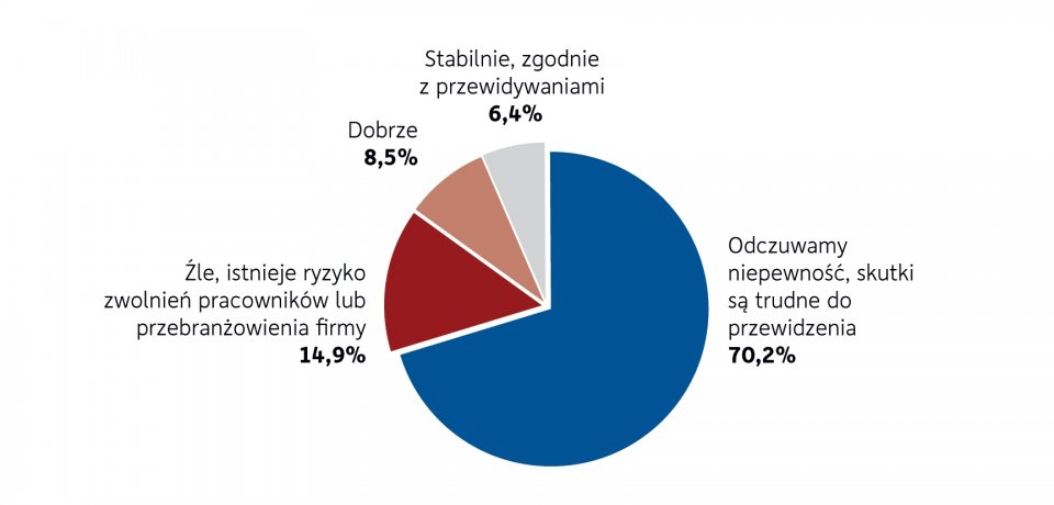 Wykres 14. Perspektywy rozwoju biznesu i firmy, jeśli ograniczenia wynikające z walki z koronawirusem potrwają do końca maja br.