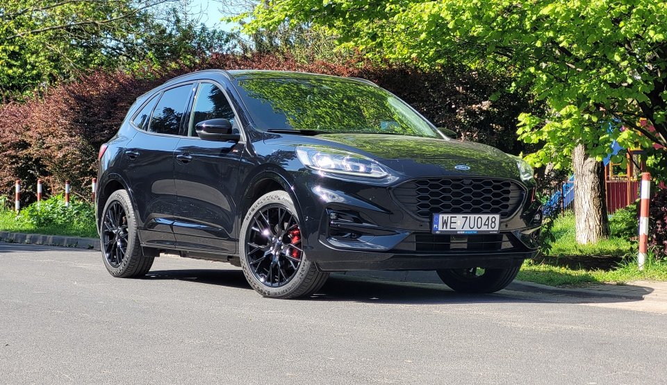 Kuga